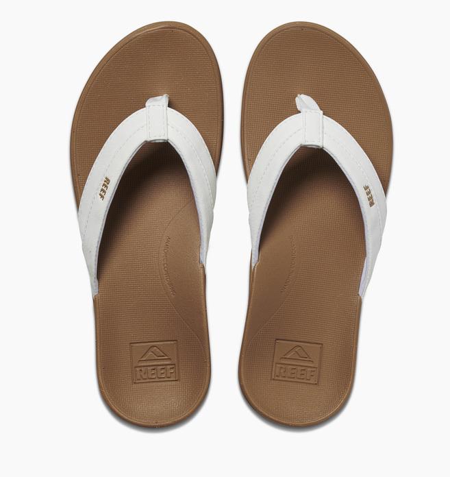 CI4731