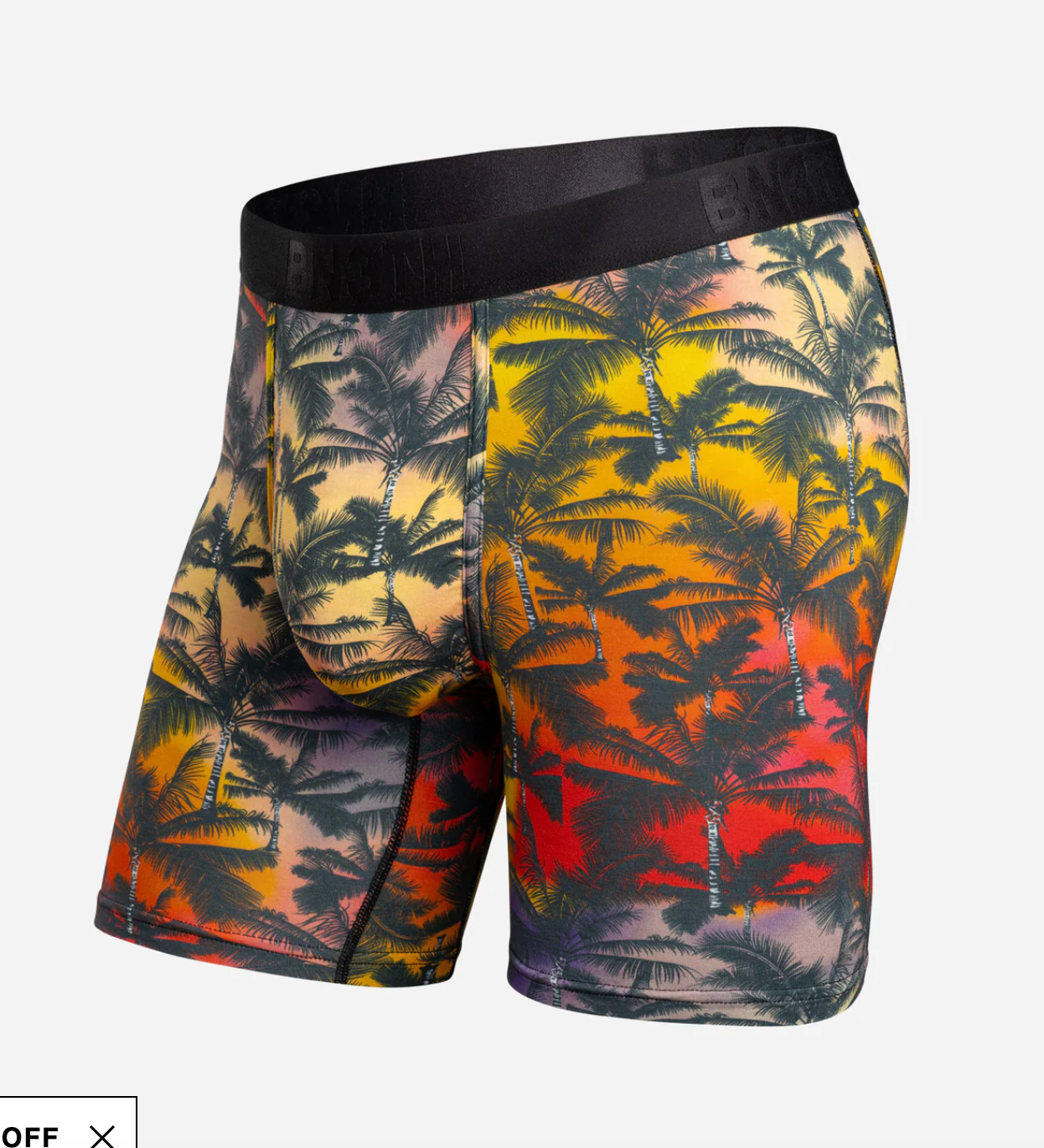 BN3TH Classic Icon Boxer Brief With Fly