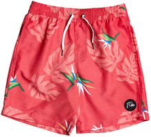 Load image into Gallery viewer, QUIKSILVER BOY SIZE 8-16 NO DESTINATION 15&quot; VOLLEY
