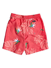 Load image into Gallery viewer, QUIKSILVER BOY SIZE 8-16 NO DESTINATION 15&quot; VOLLEY
