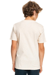 QUIKSILVER BOY SIZE 8-16 MOUNTAIN VIEW S/S TEE